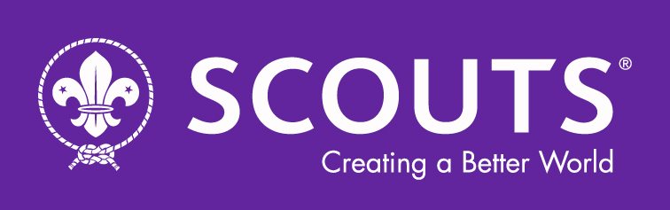 World Scout Banner