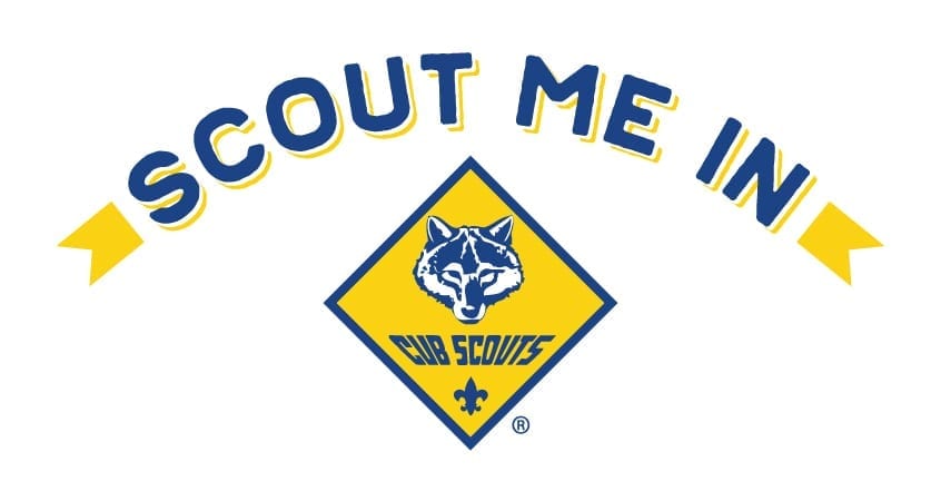 Image result for cub scout image