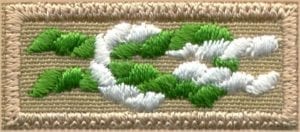 Scouter's Key patch (green & white square knot on khaki background)