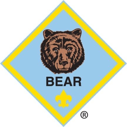 cub scout; bear; insignia