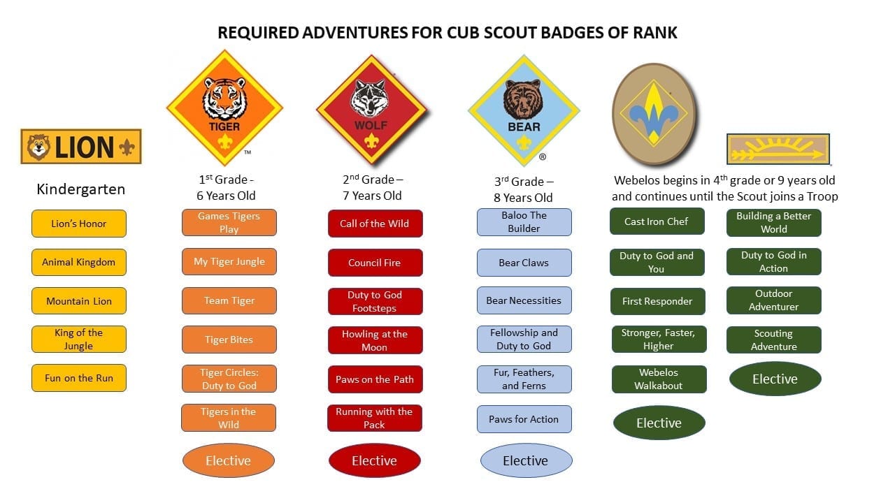 Cubs Organization Chart