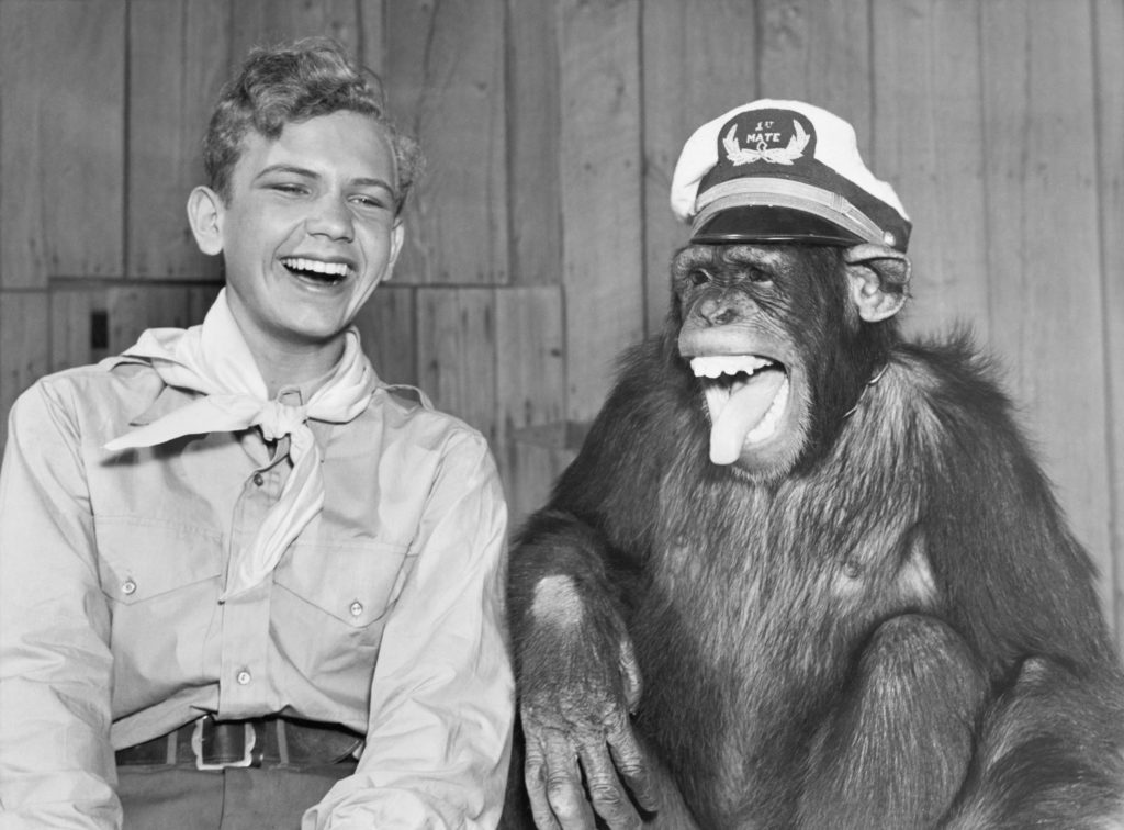 to tell a joke the funniest way to sharescouting boy scouts of