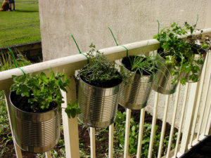 herbs in a can