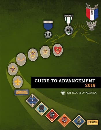 Boy Scout Troop Advancement Chart