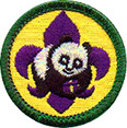 Venturing World Conservation Award patch