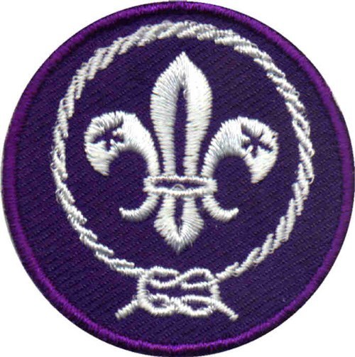 Scout Rank Badge Emblem Patch BSA Since 1910 Backing 