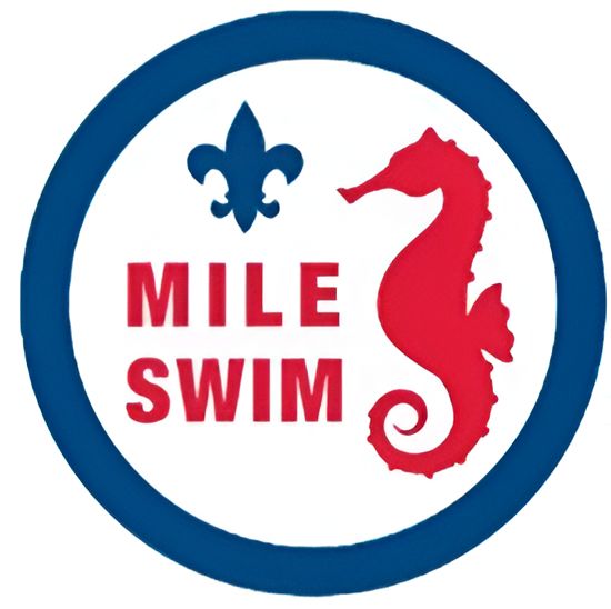Mile Swim Patch