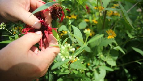 7033 2013 National Jamboree Aquatics Water Reality      **********Beginning of Shooting Data Section**********  Canon EOS-1D X     iso - 400     f/2.8     shutter - 1/8000  file name - 7033-02-016-616.JPG     date - 7/14/13     time - 3:06:23 PM  program - Aperture Priority     white balance - Auto  meter  - multi-segment     tone comp - 0     exp. comp - -3.7  flash - off     flash comp -   focus mode - AI Servo AF     lens type - EF70-200mm f/2.8L IS II USM  id -      firmware - Firmware Version 1.2.4  meter mode - multi-segment     color mode - sRGB  serial # - 072013001418     sharpness -      tone comp - 0