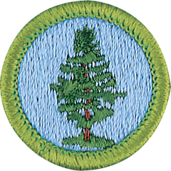 Forestry