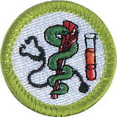 Health care professions patch
