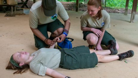 Scouts BSA Handbook 2018