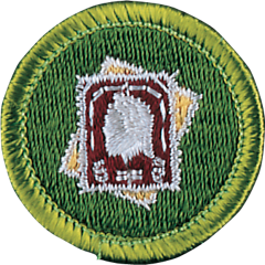 StampCollecting