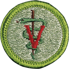 VeterinaryMedicine