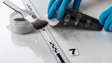 Disclosure of forensic evidence using fingerprint powders.