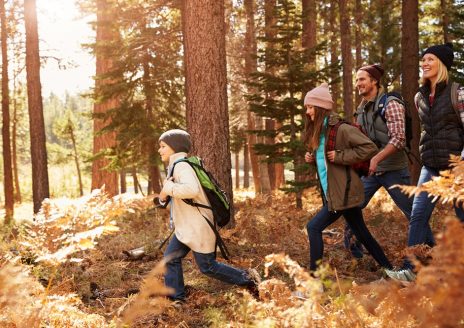 Family hiking through a forest, California, USA